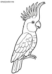 Cockatoo with a crest coloring page
