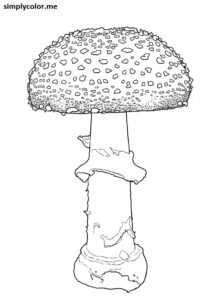 Panther Cap (Amanita pantherina) coloring page Panther Cap (Amanita pantherina) coloring page