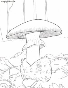 Caesar’s Mushroom (Amanita caesarea) coloring page Caesar’s Mushroom (Amanita caesarea) coloring page