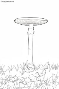 Destroying Angel (Amanita virosa) printable coloring page Destroying Angel (Amanita virosa) coloring page