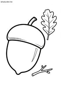 Acorn coloring page autumn nut and oak tree seed