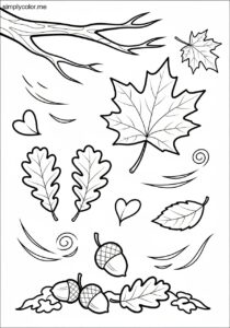 Autumn leaves coloring page fall foliage and seasonal change Autumn leaves coloring page fall foliage and seasonal change