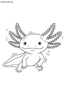Axolotl color page cute salamander and aquatic pet