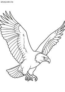Bald eagle color page american symbol and majestic bird