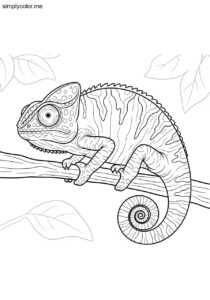 Chameleon coloring page color changing lizard reptile camouflage design