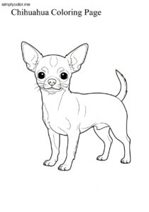 Chihuahua coloring page tiny dog breed design for pet lover