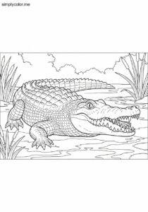 Coloring page crocodile swamp reptile alligator with sharp teeth and scaly skin