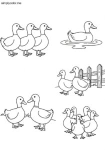 Coloring page ducks printable for farm and pond animals