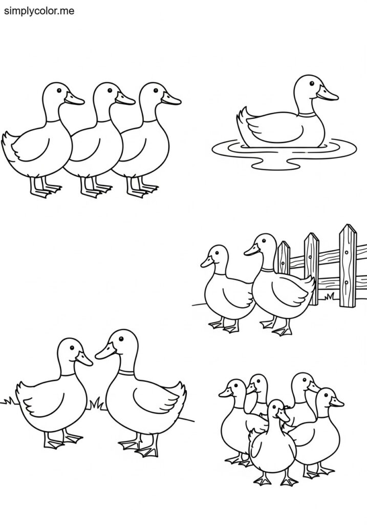 Coloring page ducks printable for farm and pond animals