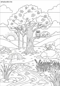 Coloring page forest woodland tree animal habitat and nature scene exploration