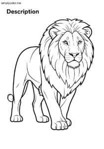 Coloring page of a lion printable for wildlife lovers