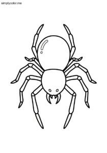 Coloring page of a spider printable for Halloween