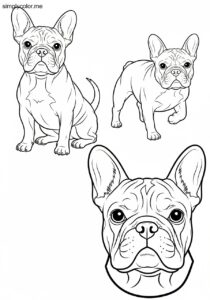 French Bulldog coloring page printable for dog lovers