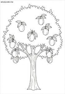 Indian plum coloring page printable for kids and gardening fun