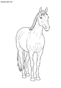Realistic horse coloring page for animal art lovers