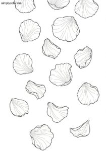Rose color page romantic flower petal design